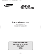 Samsung CW-29A208P User manual