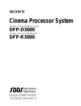 Sony Ericsson DFP-R3000 User manual