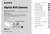 Sony Cyber-shot DSC-L1 User manual