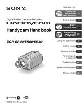 Sony DCR-SR40 User manual