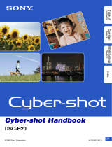 Sony DSC-H20 User manual