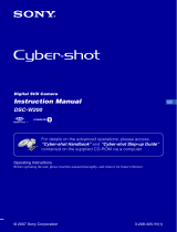 Sony Cyber Shot DSC-W200 User manual