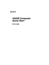 Sony PCV-V100G User manual