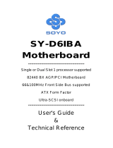 SOYO Motherboard SY-D6IBA User manual