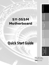 SOYO SY-5SSM User manual