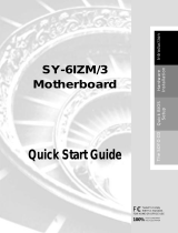 SOYO SY-6IZM/3 User manual