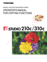 Vizio 210C User manual