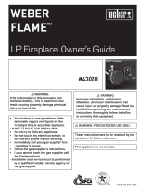 Weber FLAME #43028 User manual