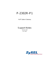 ZyXEL P-2302R-P1 User manual