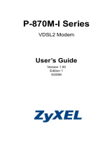 ZyXEL VDSL2 User manual