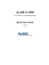 ZyXEL Communications G-3000 User manual