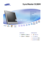 Samsung SYNCMASTER 913BM PLUS User manual
