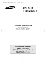 Samsung CS-29T11MA User manual