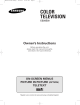 Samsung CS-29Z30BP User manual
