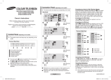 Samsung CS-21Z45MJ User manual
