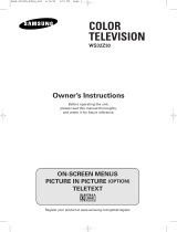 Samsung CS-32500HEXA User manual