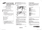 Samsung CS21B500H5 User manual
