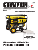 Champion Power Equipment41115