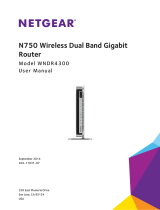Netgear R6100 User manual