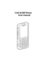 Caterpillar CAT CAT B100 User manual