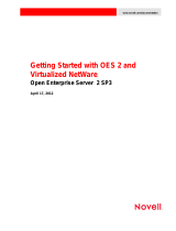 Novell Open Enterprise Server 2 Quick start guide