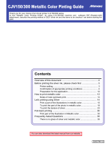 MIMAKI CJV300 User guide