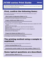 MIMAKI JV300 User guide