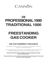 Whirlpool Professional 1000 User guide