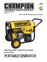 Champion Power Equipment40023