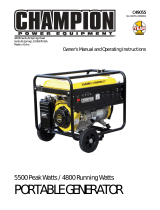 Champion Power Equipment49055