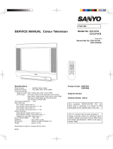 Sanyo C21LF41 User manual