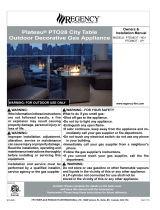 Regency Fireplace ProductsPlateau PTO28CIT