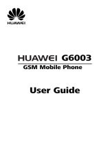 Huawei G6003 Owner's manual