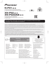 Pioneer P2DAB User manual