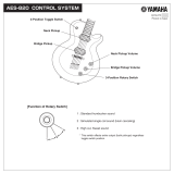 Yamaha AES820 Owner's manual