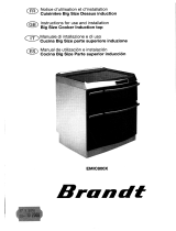 Groupe Brandt CE9005E1 Owner's manual