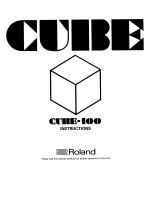 Roland Cube-100 Owner's manual
