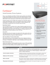 Fortinet FVC-048 Datasheet
