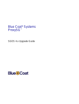Blue Coat Systems4.x