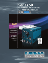 Burnham Hydronics 5B Specification