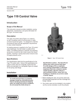 Emerson Type 119 Switching Valve User manual
