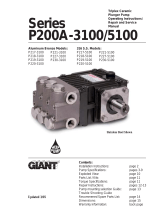 Giant P217-3100 User manual