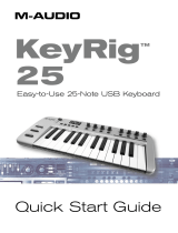 Keyspan Keyrig25 User manual