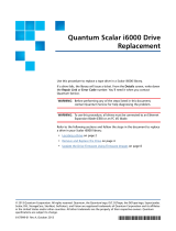 Quantum Scalar i6000 User manual