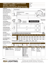 RSA Lighting C-100 User manual