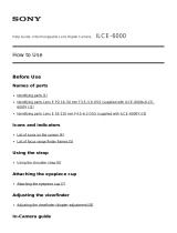 Sony ILCE-6000L User manual
