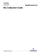 Remote Automation Solutions BSI User guide