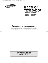 Samsung CS-21T20MQQ User manual