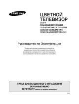 Samsung CS-25D8R User manual