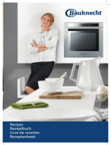 Whirlpool BIVMS 8100 IXL Owner's manual